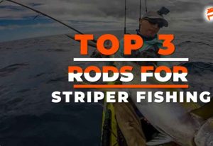 Best Fishing Rod for Striped Bass - Here Learn Expert Opinion About It