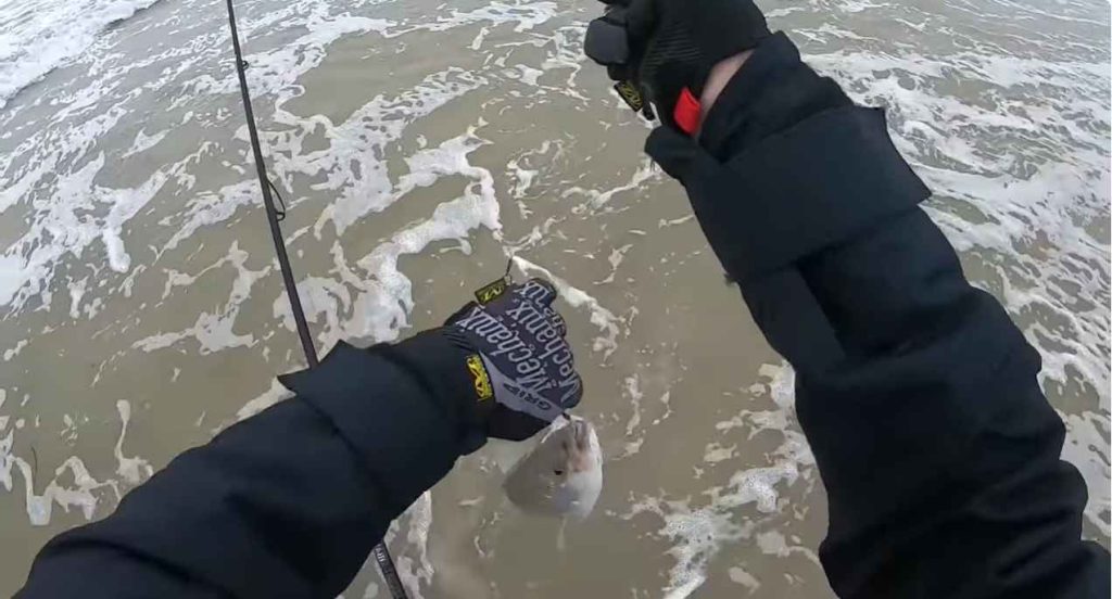 How to Fish a Diamond Jig in the Surf - Here Learn the Easiest Way to Catch