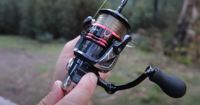 Why is My Spinning Reel Going Backwards – Fishing Elements