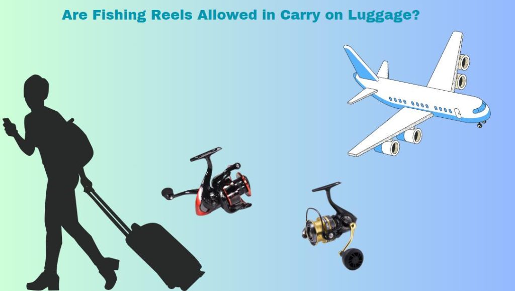 Are Fishing Reels Allowed in Carry on Luggage
