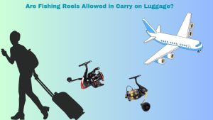 Are Fishing Reels Allowed in Carry on Luggage