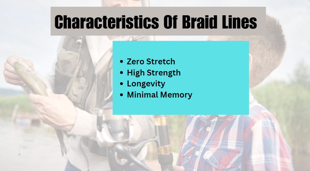 What Size Braid for Baitcaster for Bass