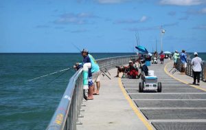 Best Fishing Rod for Jetty