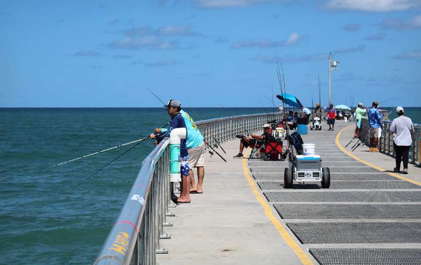 Best Fishing Rod for Jetty