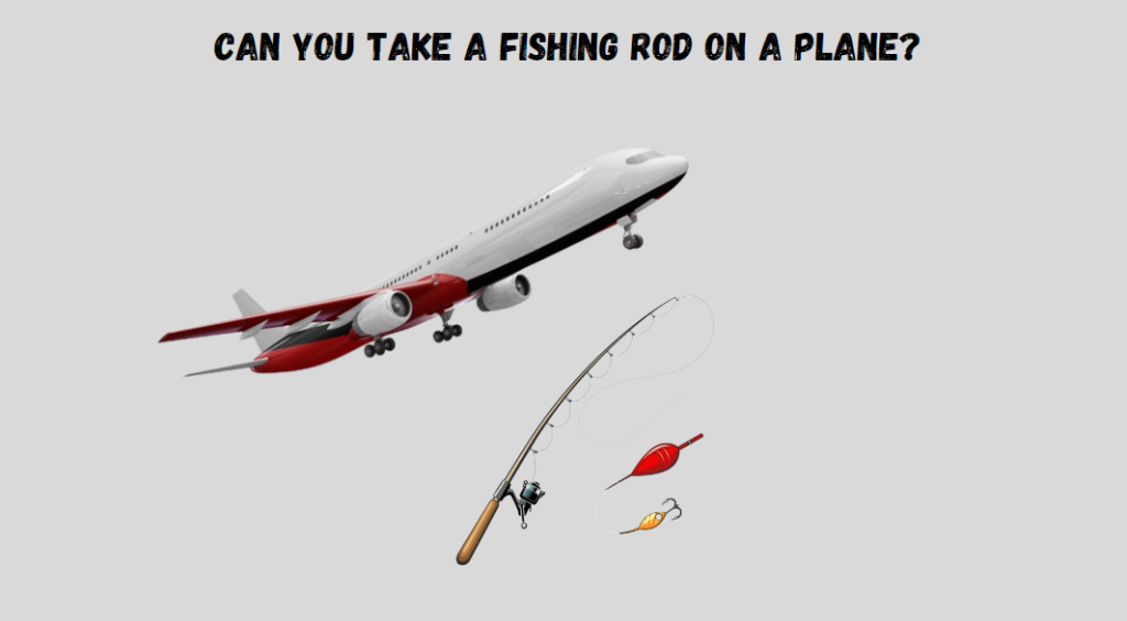 Can You Take a Fishing Rod on a Plane