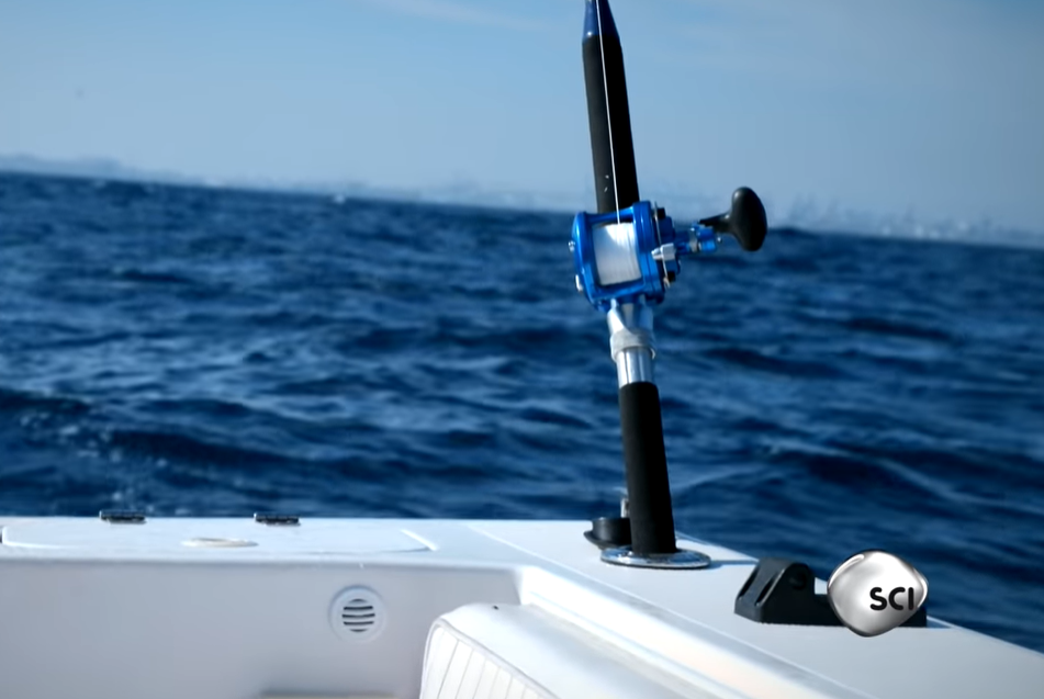 What is the Difference between a Baitrunner And a Spinning Reel