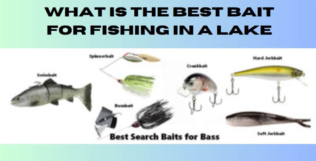 What is the Best Bait for Fishing in a Lake