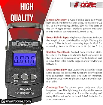 How Do You Choose a Fishing Scale That Provides Accurate Measurements?