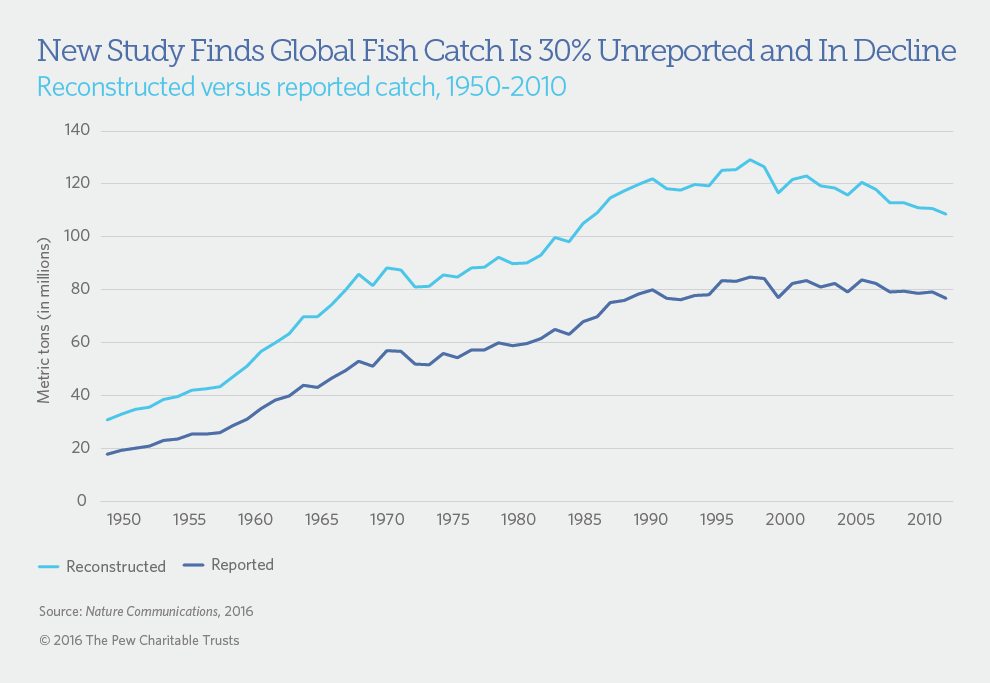 How Many Fish are Caught Each Year around the World?
