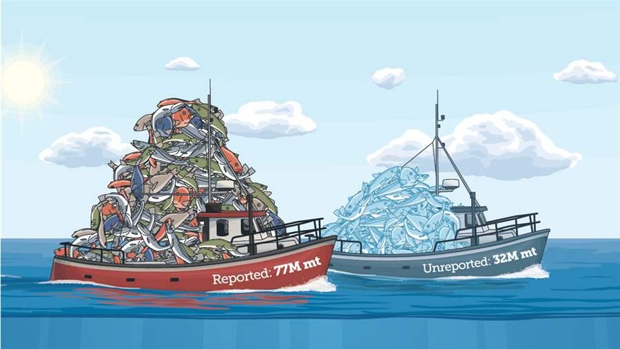 How Much Fish is Caught Every Year Worldwide?