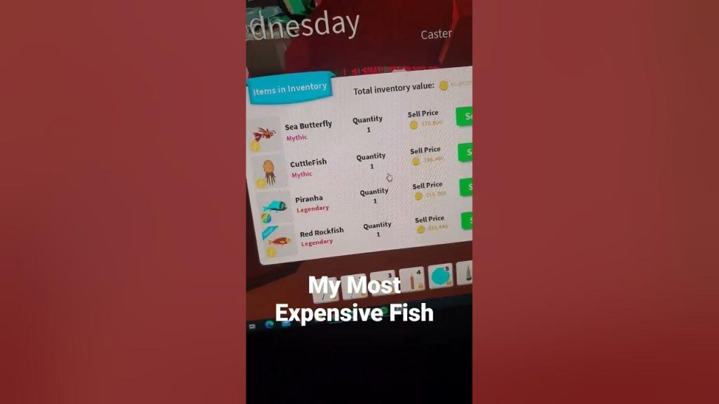 How to Catch the Most Expensive Fish in the Fishing Simulator